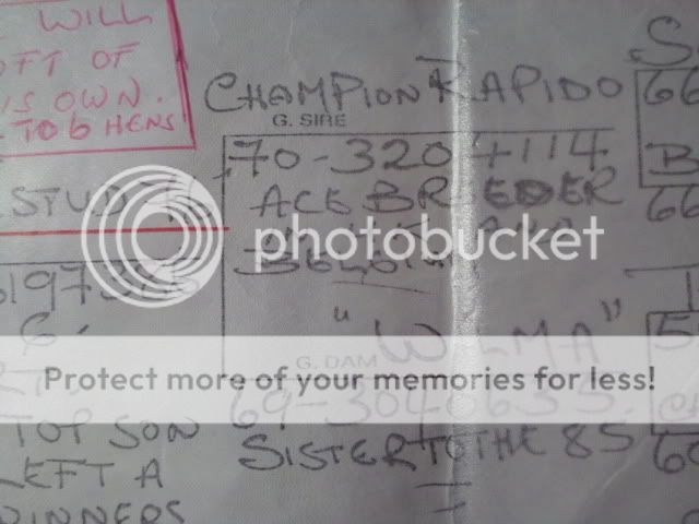 Posted Image