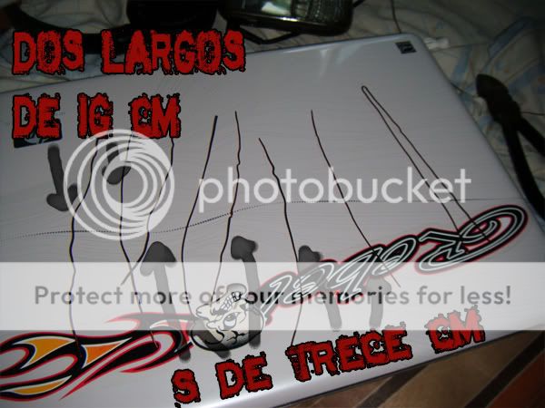 alacran alacran