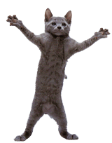 1111.gif