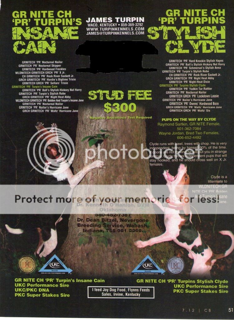 rope tug toys for dogs