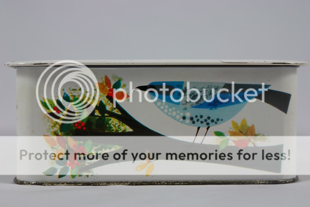 vintage biscuit tin with colourful bird decoration