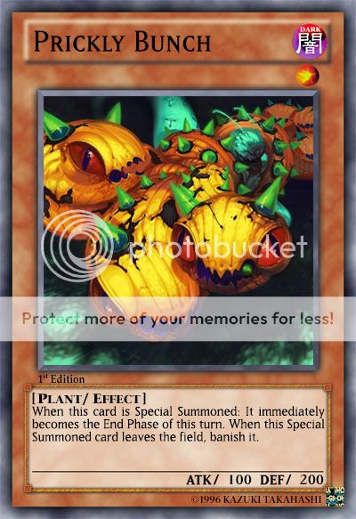 PricklyBunch_zps60d11d7a.jpg