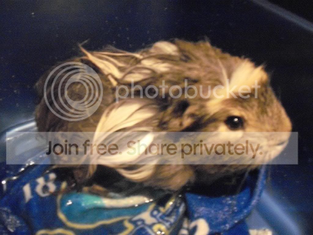 Bathtime009.jpg