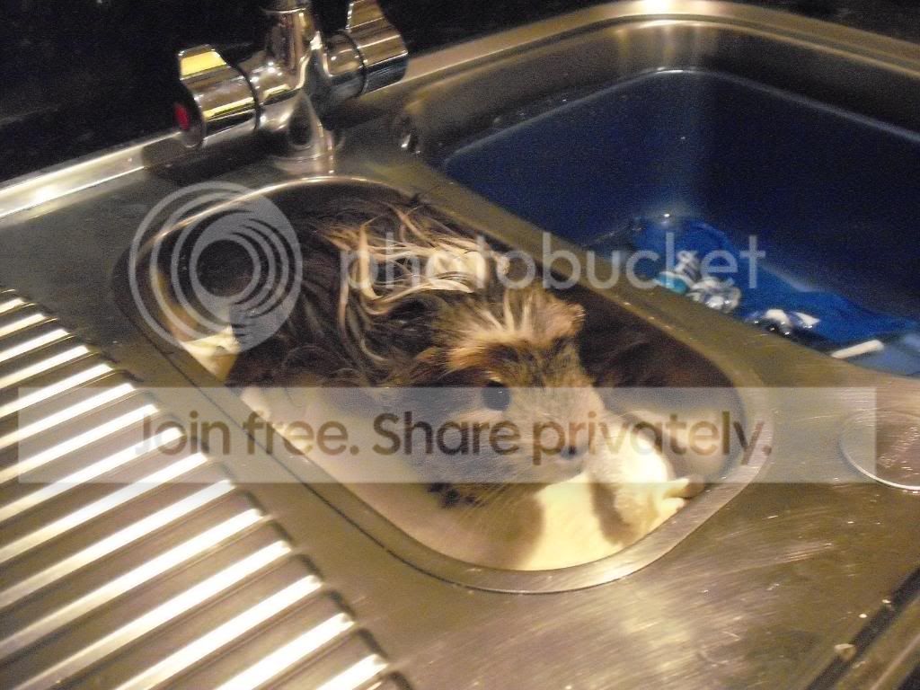 Bathtime013.jpg