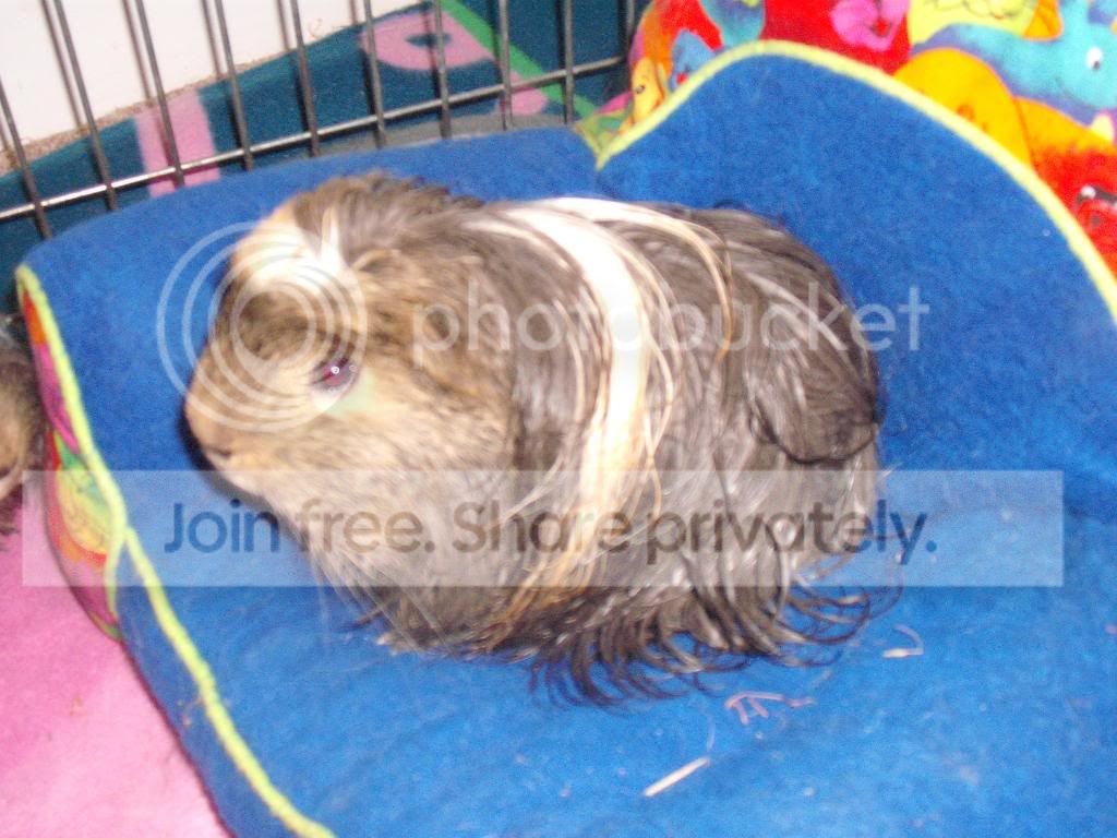 Bathtime021.jpg