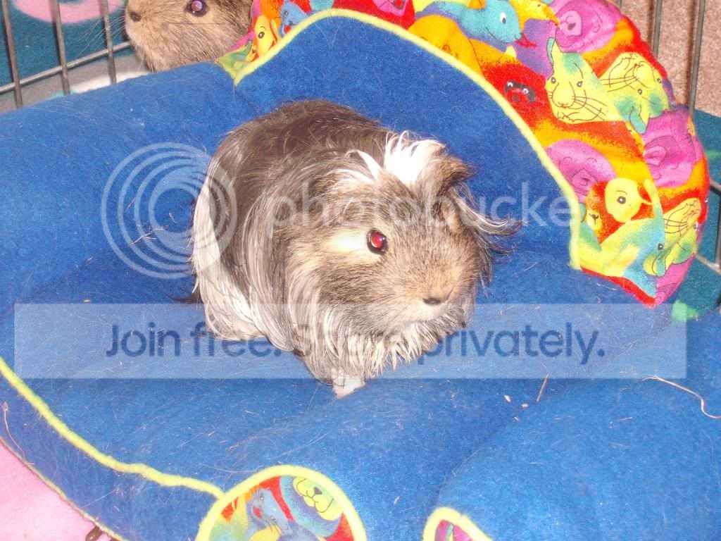 Bathtime025.jpg