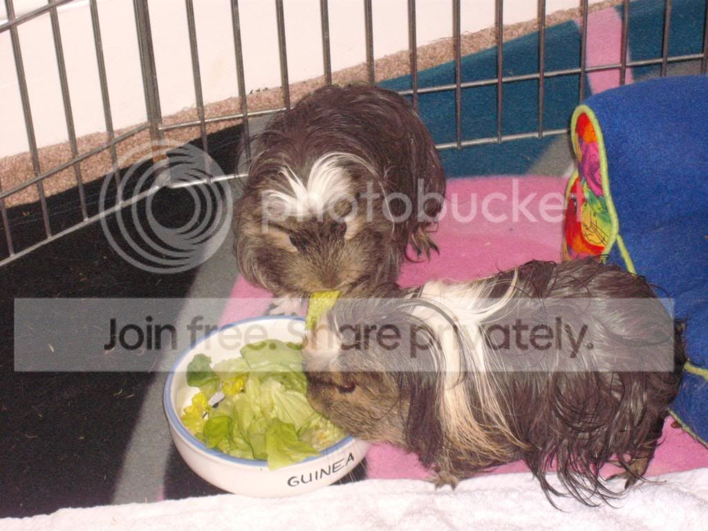 Bathtime030.jpg