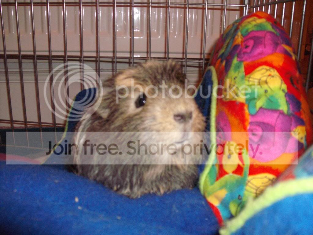 Bathtime033.jpg