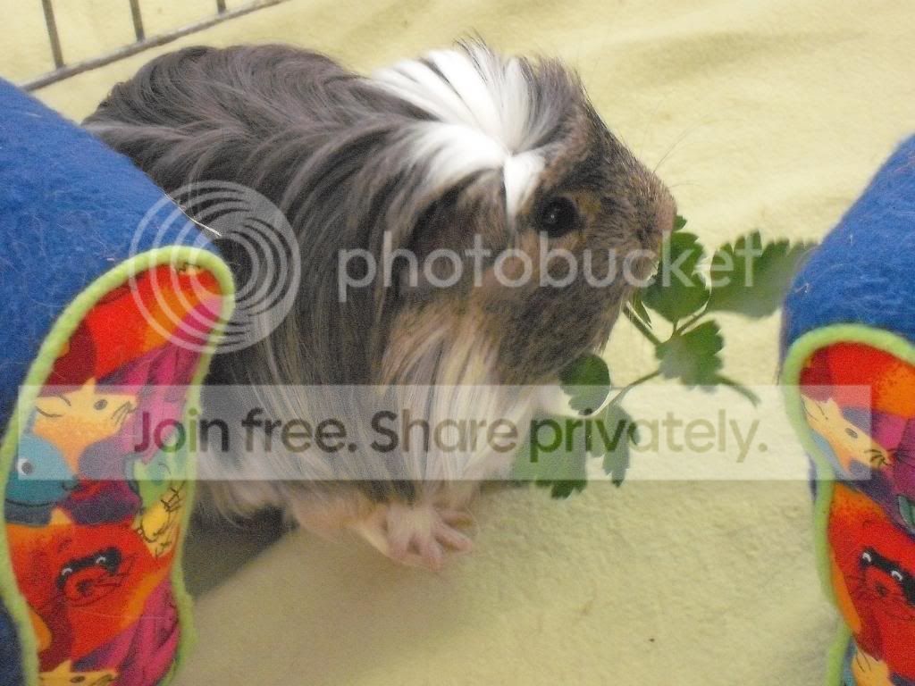 Bathtime056.jpg