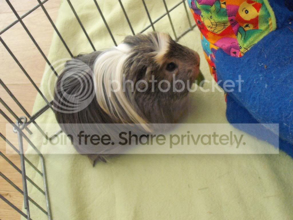 Bathtime060.jpg