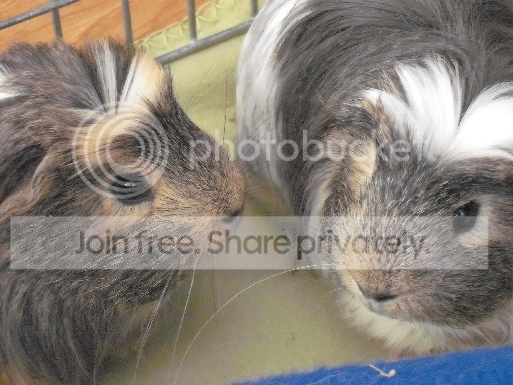 Bathtime062.jpg