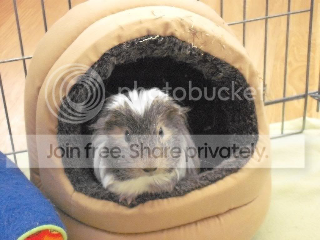 Bathtime068.jpg