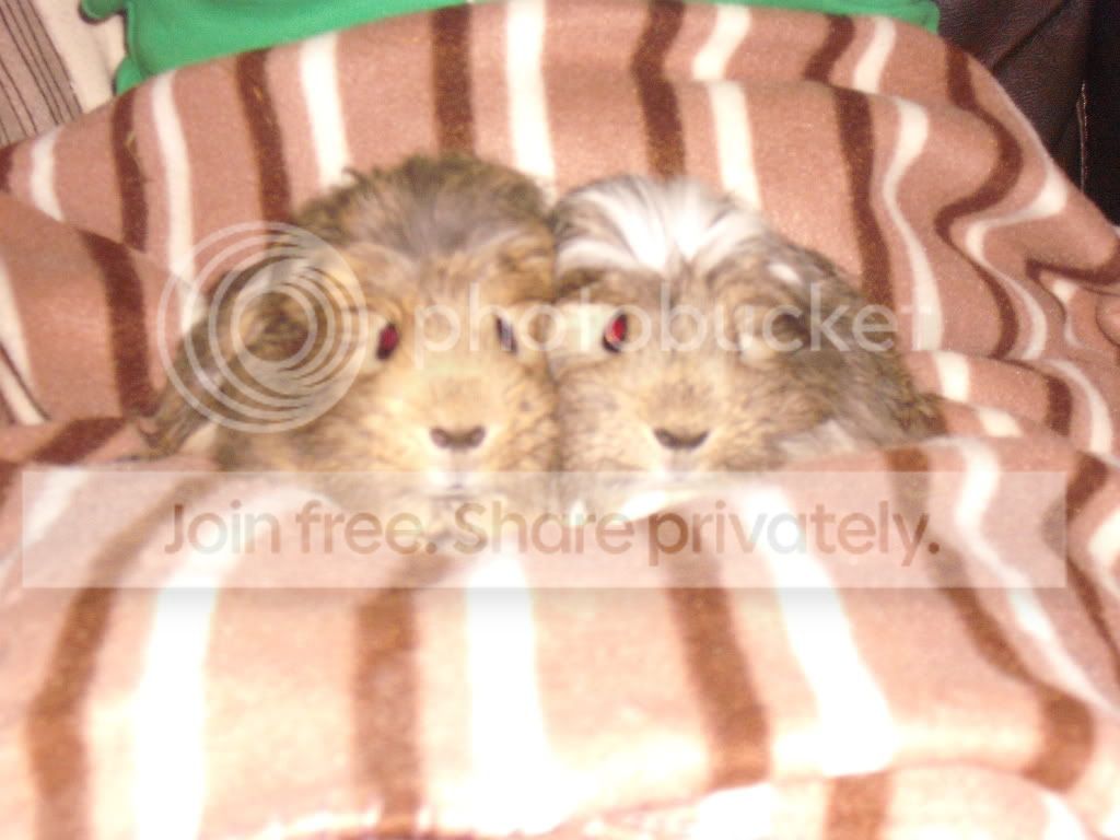 DSCF1311.jpg
