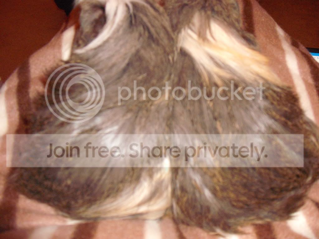 DSCF1312.jpg