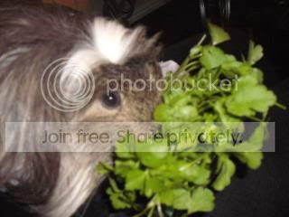 DSCF4428.jpg