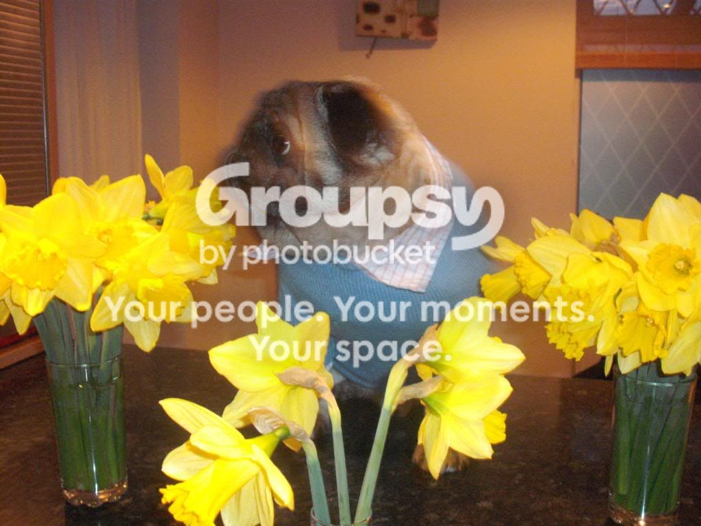 Easter001.jpg