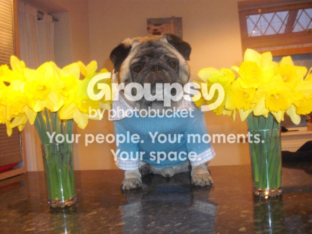 Easter003.jpg