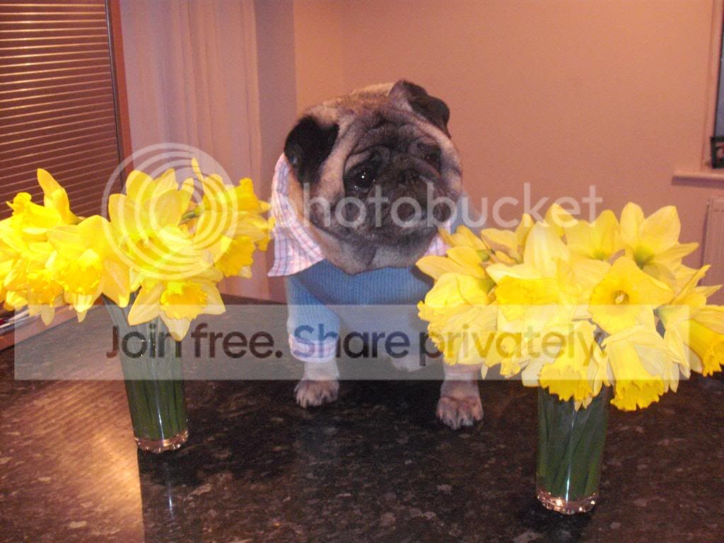 Easter004.jpg