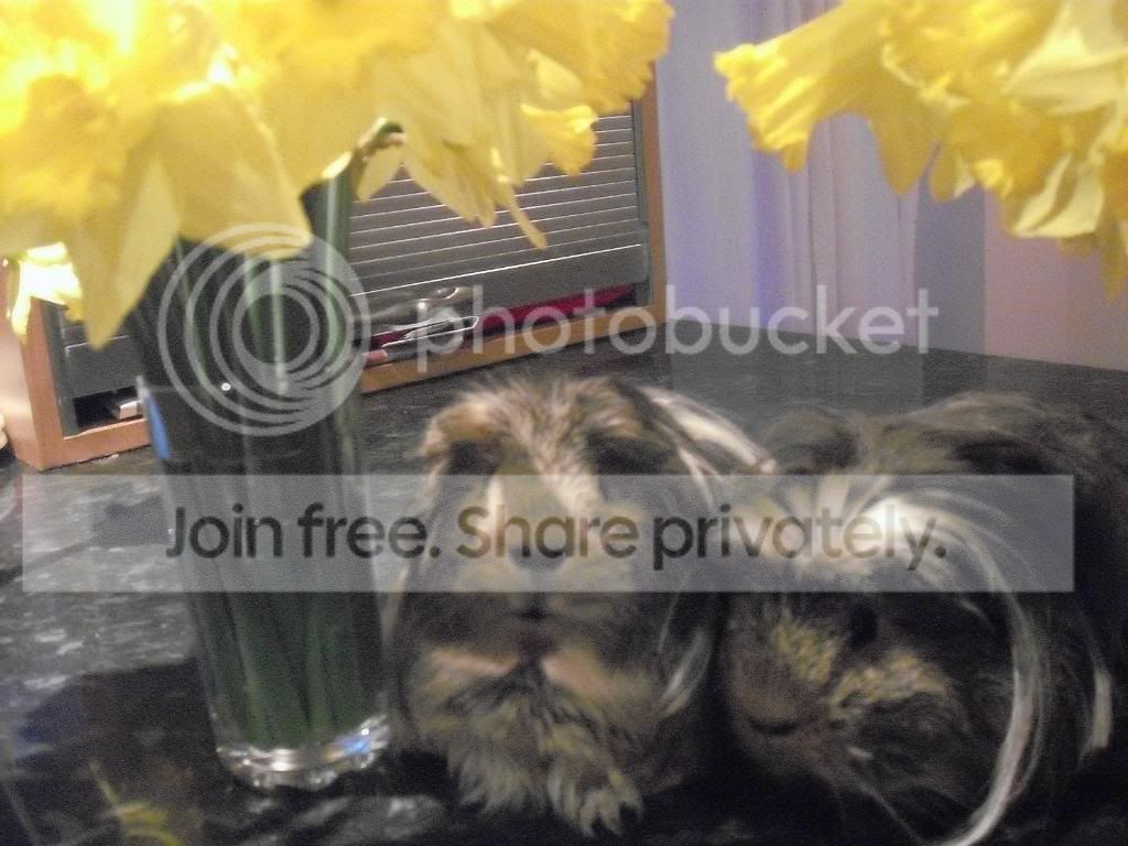 Easter008.jpg