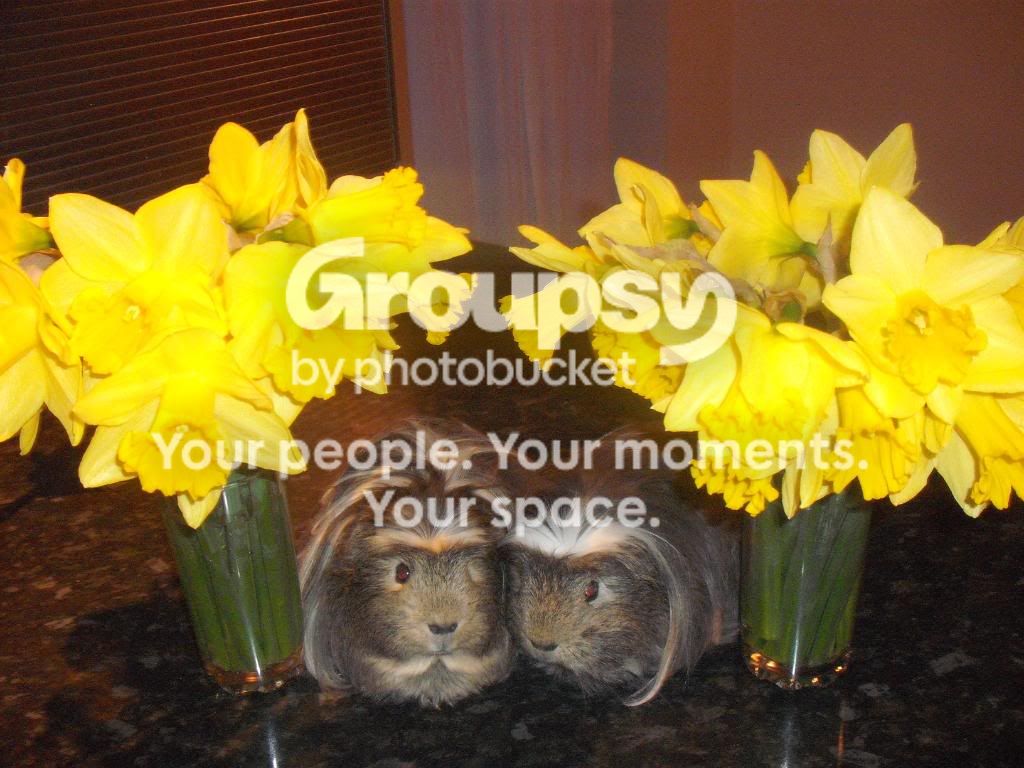 Easter011.jpg