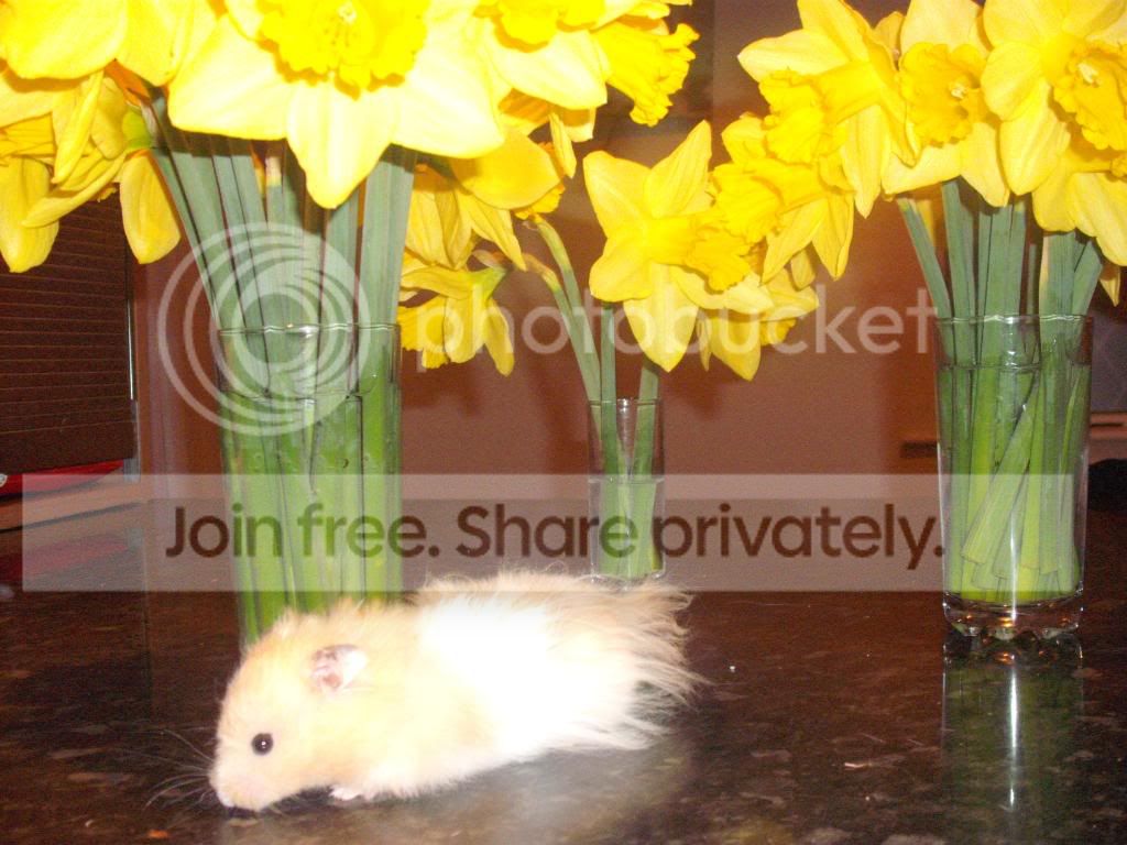 Easter018.jpg