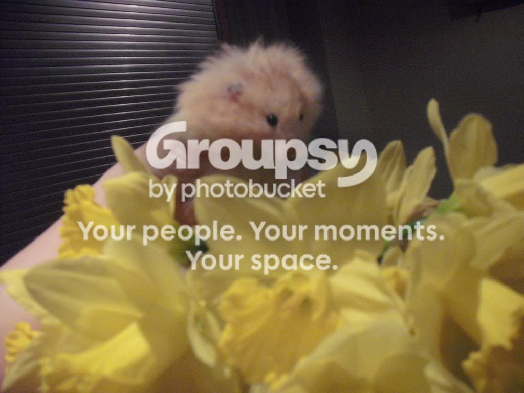 Easter020.jpg