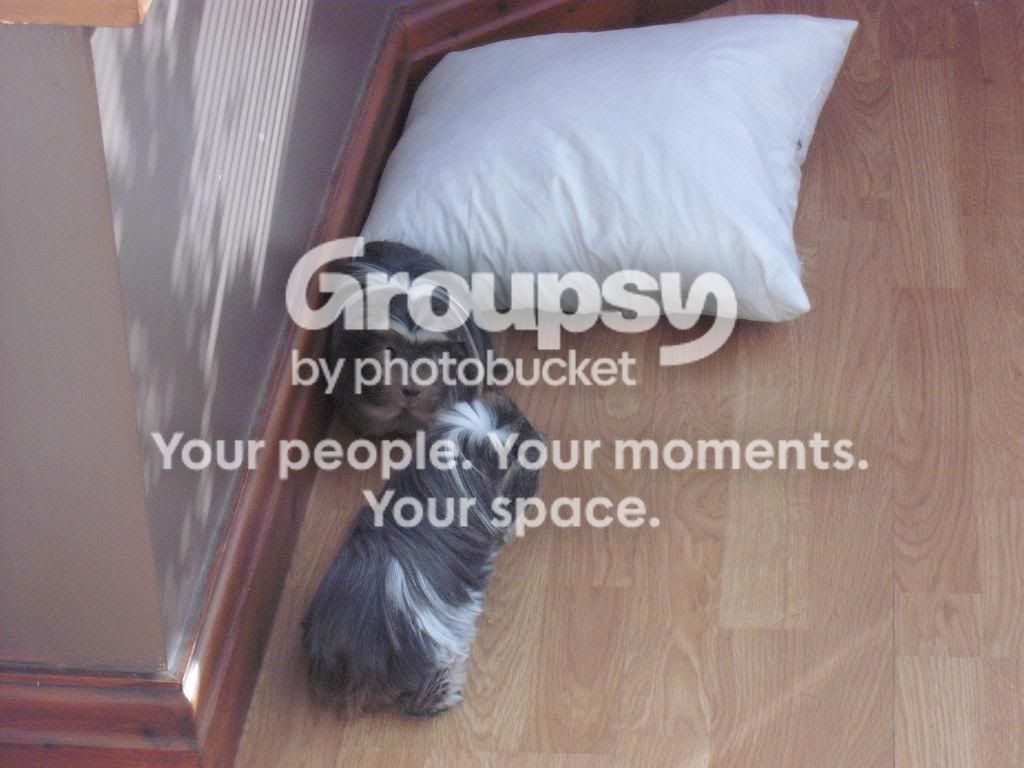 EscapetotheConservatory002.jpg
