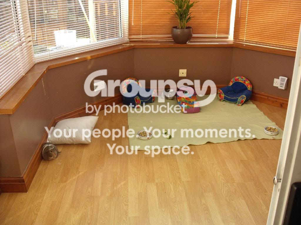 EscapetotheConservatory012.jpg