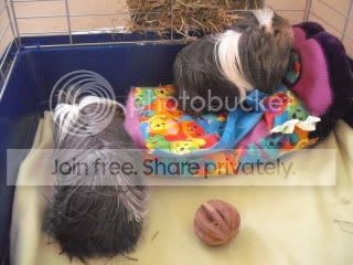 SummerBall060.jpg