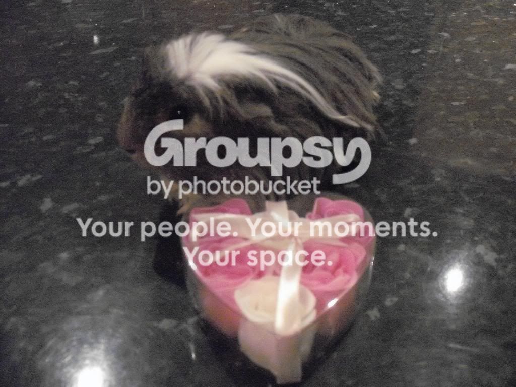 Valentines004.jpg